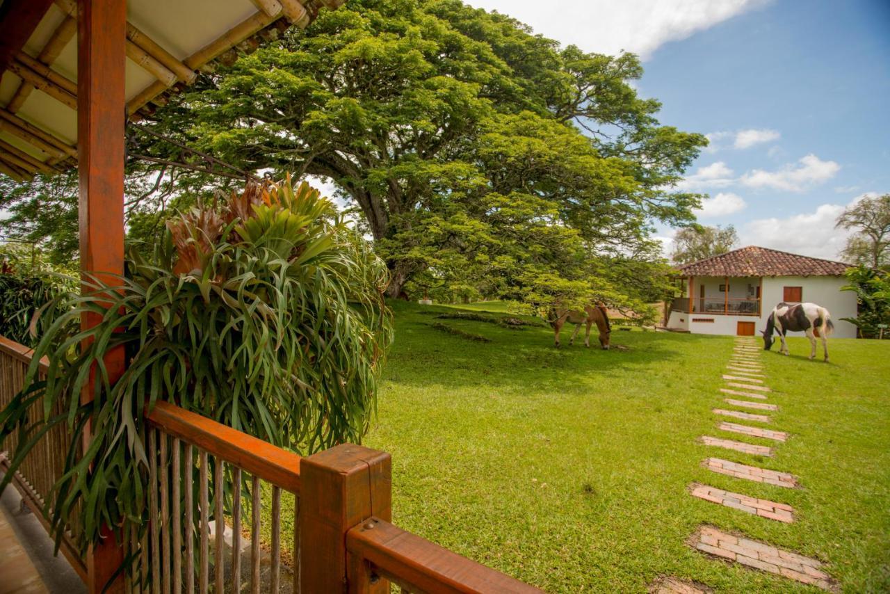 Hacienda El Saman Villa Quimbaya Ngoại thất bức ảnh