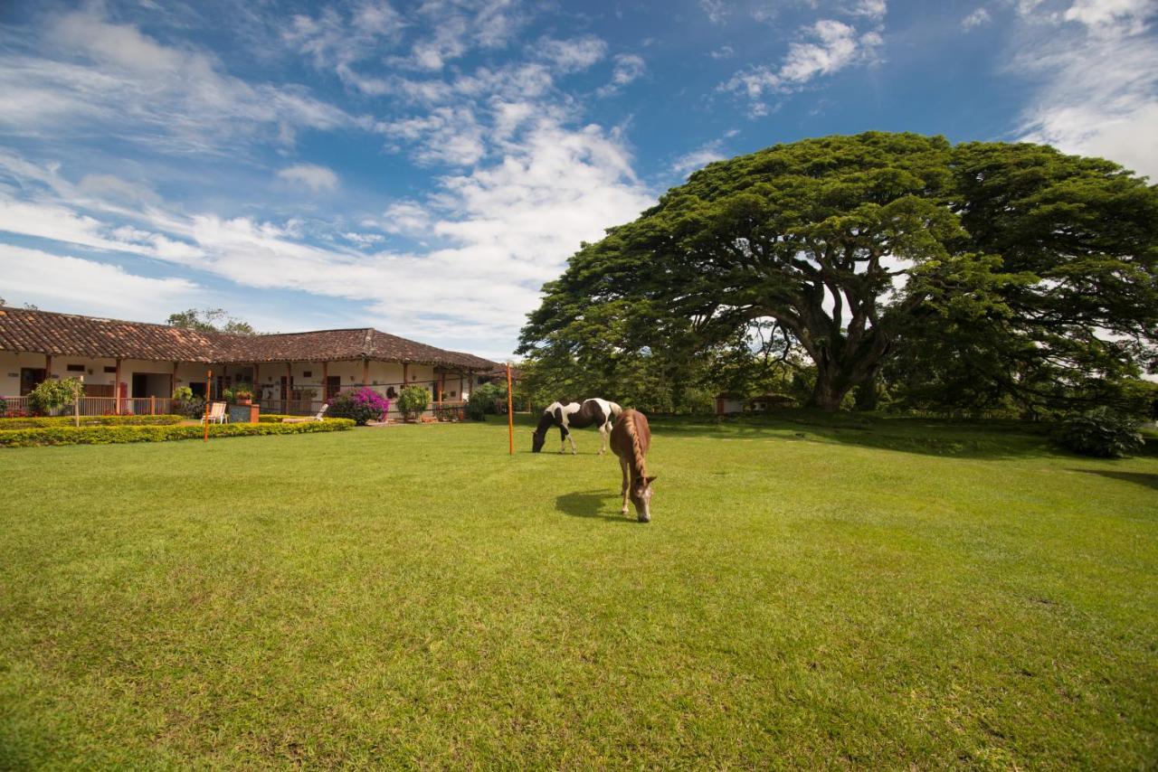 Hacienda El Saman Villa Quimbaya Ngoại thất bức ảnh