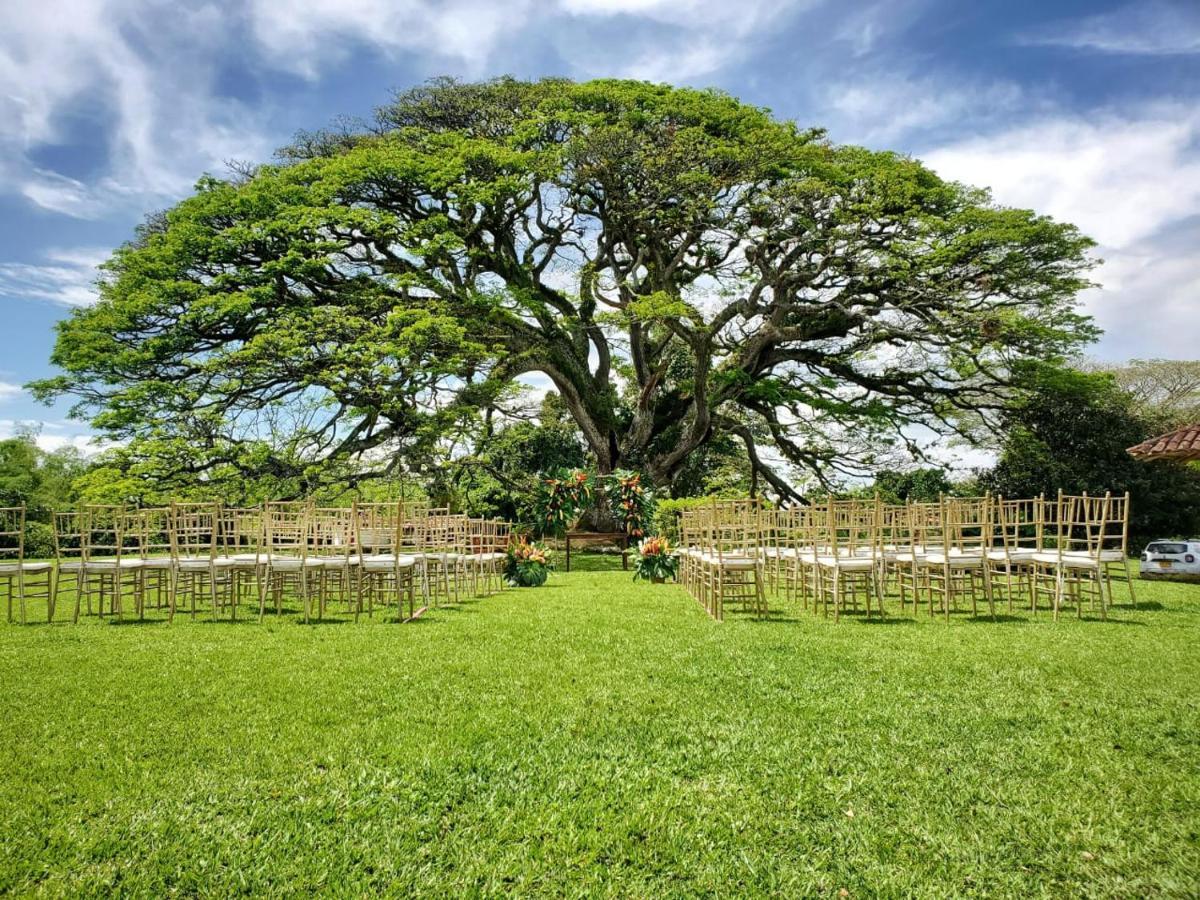 Hacienda El Saman Villa Quimbaya Ngoại thất bức ảnh