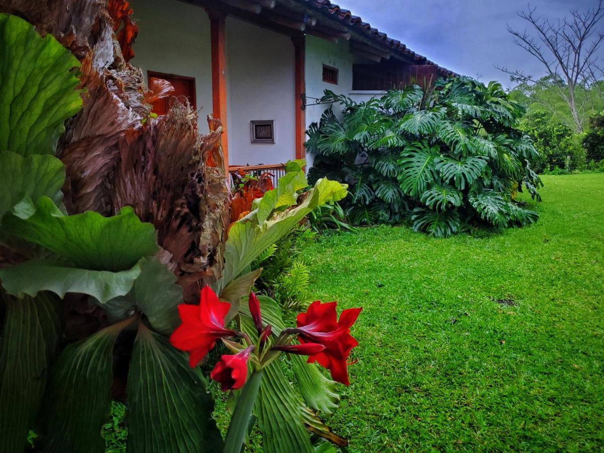 Hacienda El Saman Villa Quimbaya Ngoại thất bức ảnh